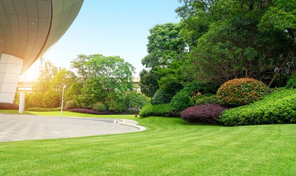 Cost of Commercial Lawn Mowing in Meridian