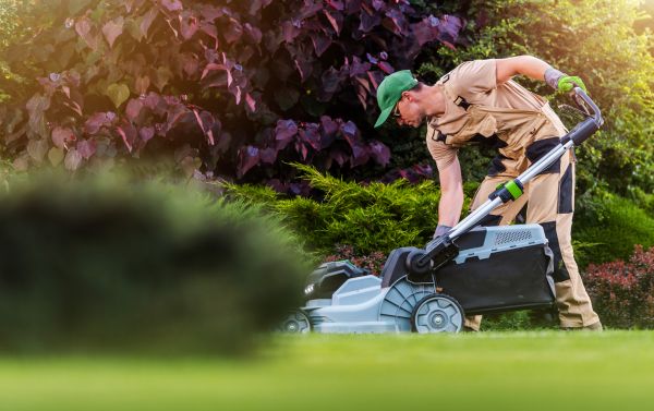 Cost of Lawn Care And Maintenance in Meridian