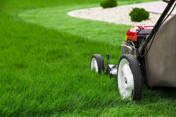 Cost of Lawn Cutting Service in Meridian