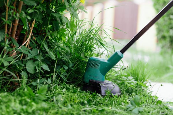 Cost of Weed Whacking in Meridian