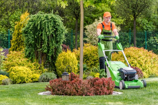 Cost of Yard Service in Meridian