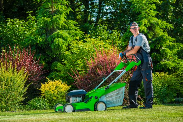 Cost of Yard Work Service in Meridian