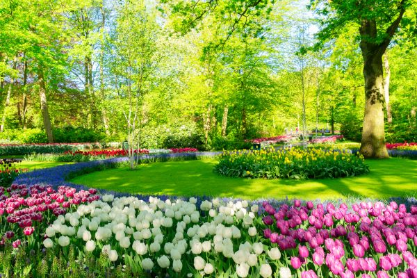 Cost of Spring Lawn Care in Meridian