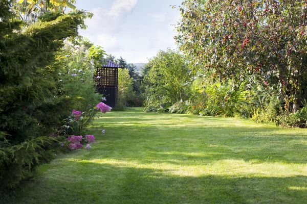 Cost of Yard Upkeep Service in Meridian