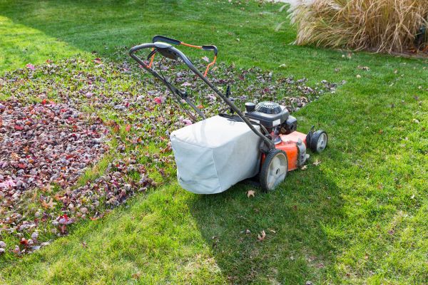 Cost of Seasonal Lawn Care in Meridian