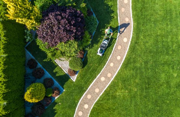Cost of Mowing And Landscaping in Meridian