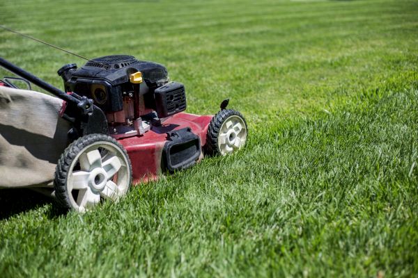 Cost of Routine Lawn Care in Meridian
