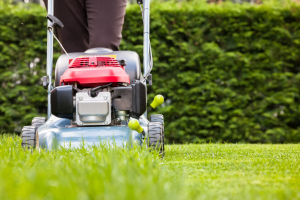 Cost of Grass Trimming Service in Meridian