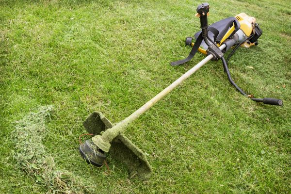 Cost of Hillside Weed Whacking in Meridian