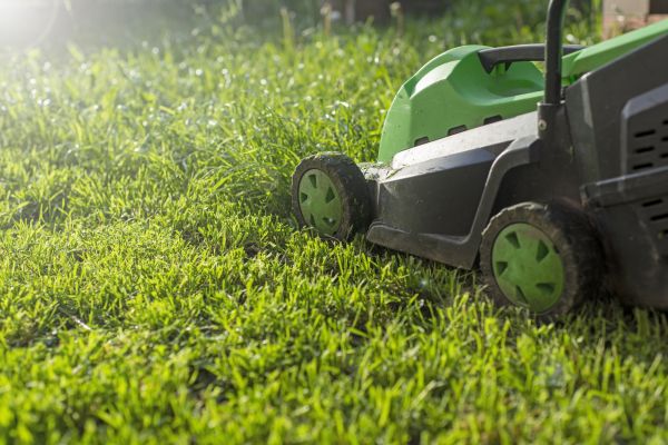Cost of Yard Trimming in Meridian