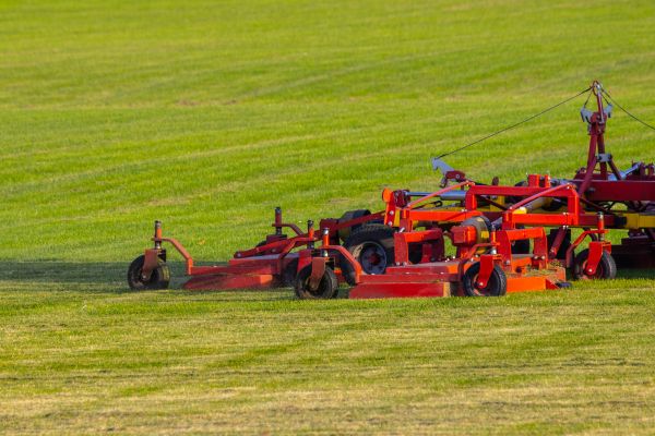Cost of Industrial Lawn Service in Meridian