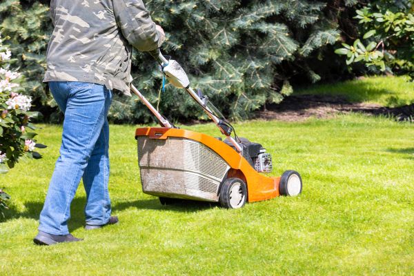 Cost of Springtime Lawn Care in Meridian