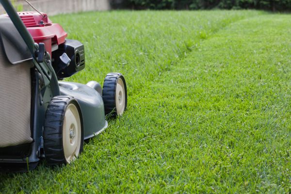 Cost of Spring Lawn Maintenance in Meridian