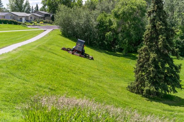 Cost of Sloped Area Mowing in Meridian
