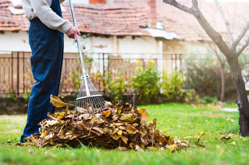 Autumn Landscape Care