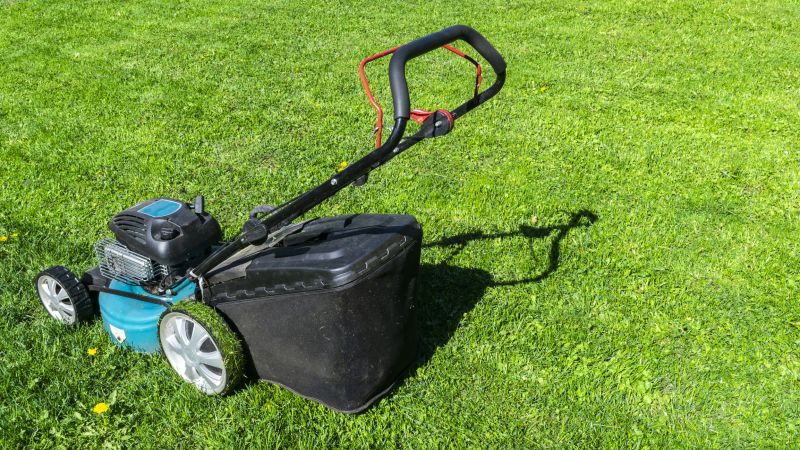 Material Picks that Last