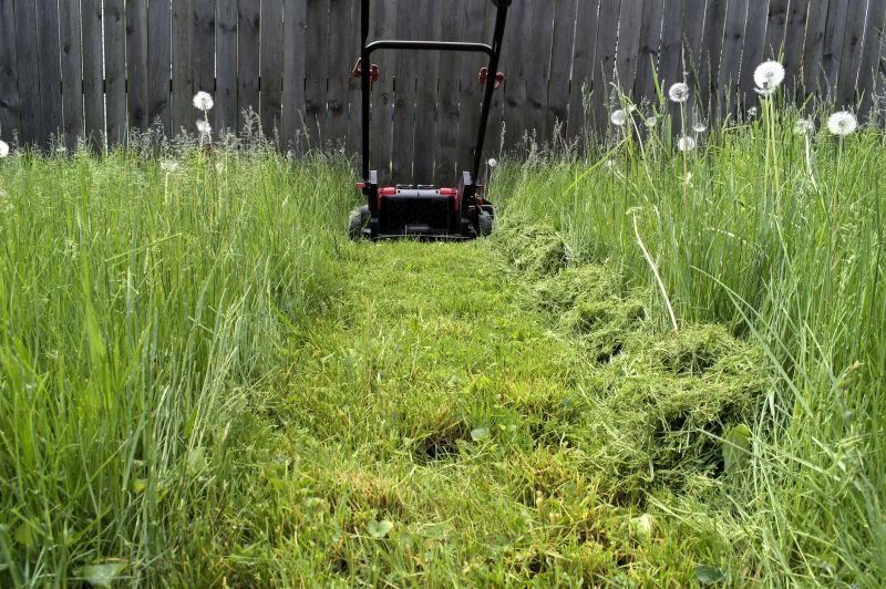 Tall Grass Trimming